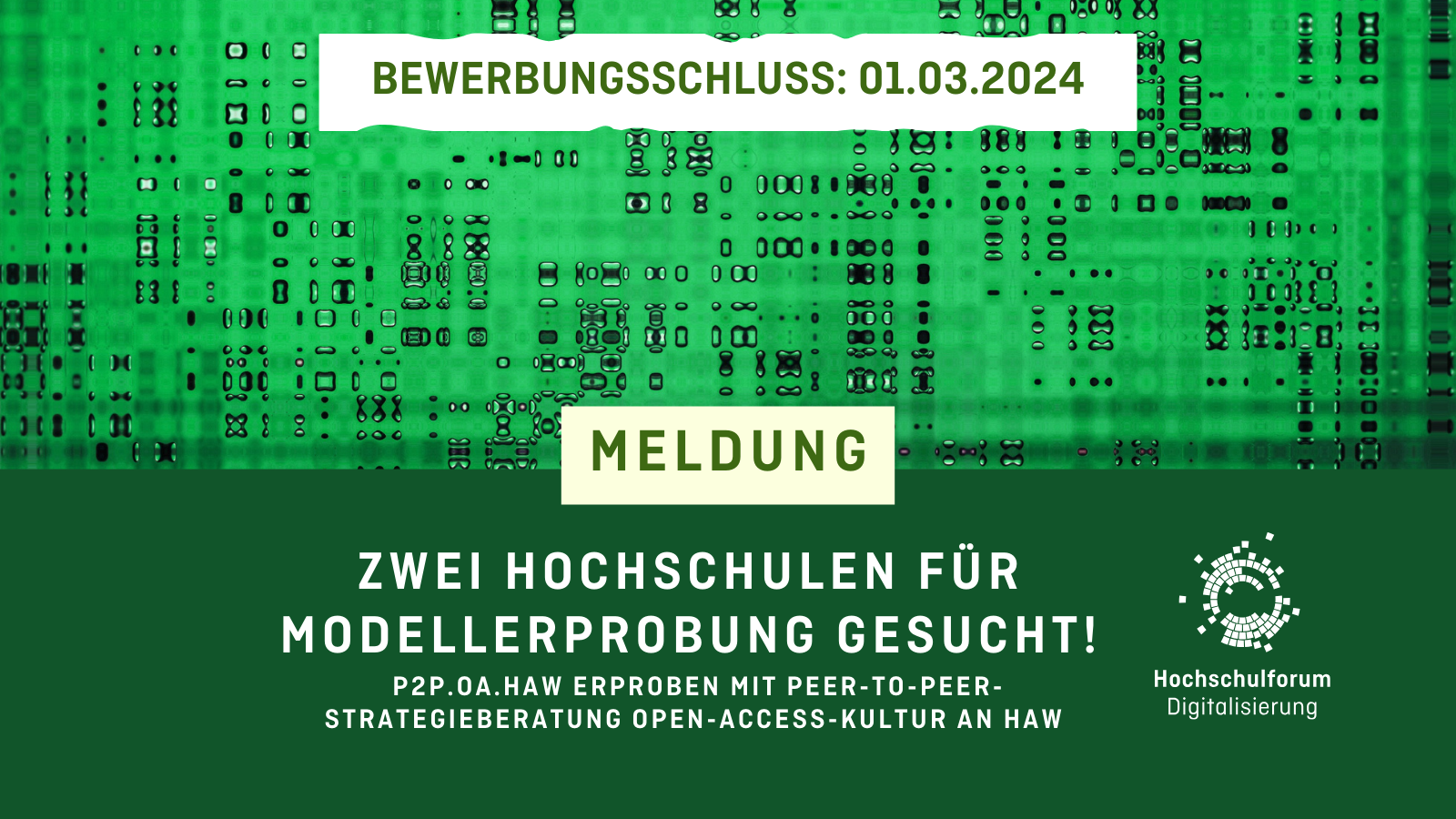 MELDUNG: "Zwei Hochschulen für Modellerporbung gesucht!" Untertitel: "P2P.OA.HAW erprobt mit Peer-to-Peer-Strategieberatung Open-Access-Kultur an Hochschulen". Logo rechts unten. Hochschulforum Diitalisierung.