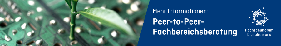 Banner Peer-to-Peer-Strategieberatung