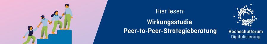 Wirkungsstudie Peer to Peer Strategieberatung